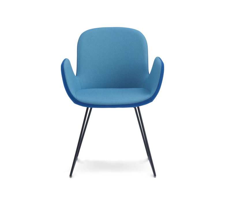 bt-design-daisy-chair-sled-1.png
