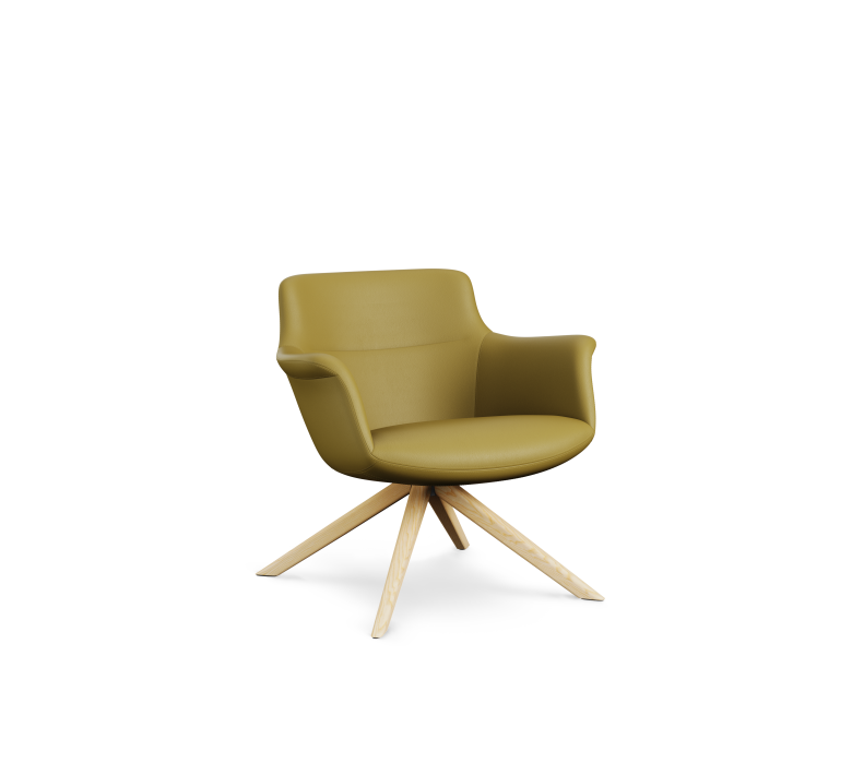 bt-design-rego-lounge-wood-2.png