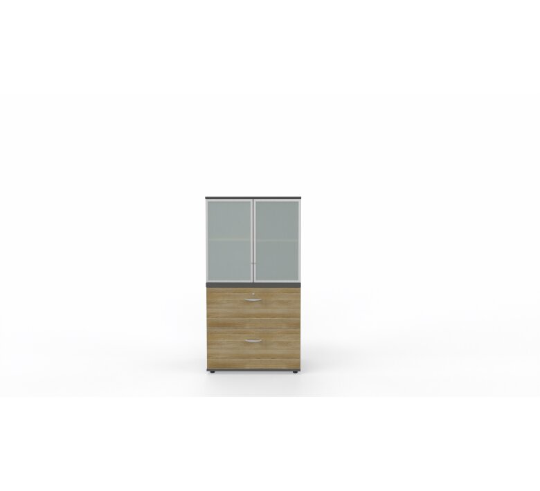 maro-pro-combi-cabinets-with-schowcase-6.jpg