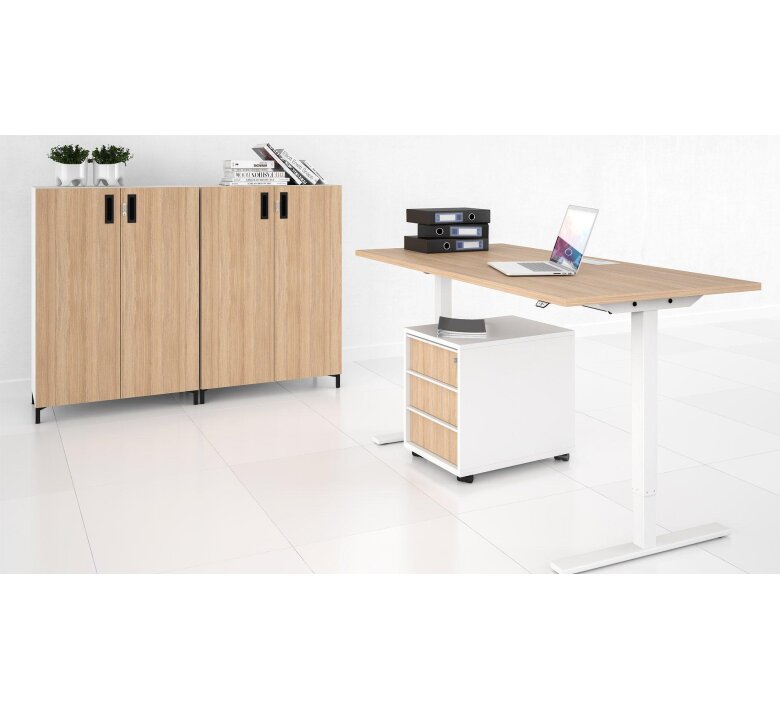 sit-stand-desks-one-storage-choice-narbutas-01-1920x1080.jpg