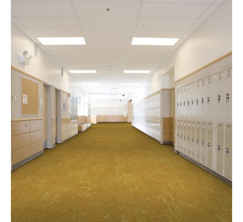 c011w-05225-school-corridor.jpg